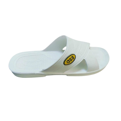Home ESD Slipper