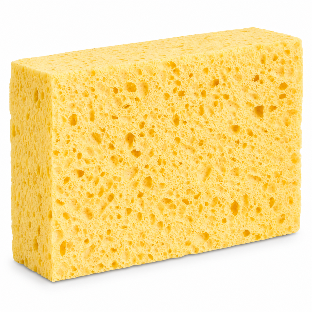 Cellulose Sponge