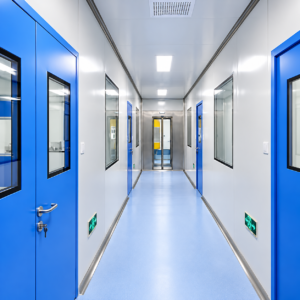 Electronic Cleanroom Door